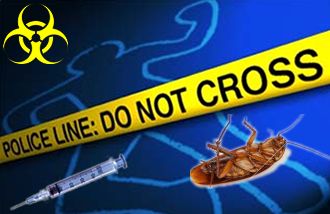 House clearance and squat cleaning in Silsden